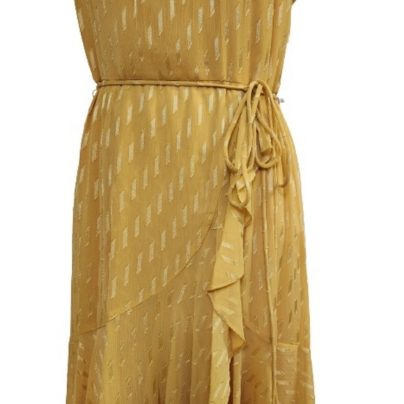 🆕️⬇️🎉HOST PICK🎉 Maison Tara Clip Dot Chiffon Maxi Dress - Picture 7 of 15